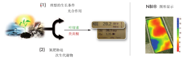 DUALEX SCIENTIFIC+植物氮平衡指数测量仪